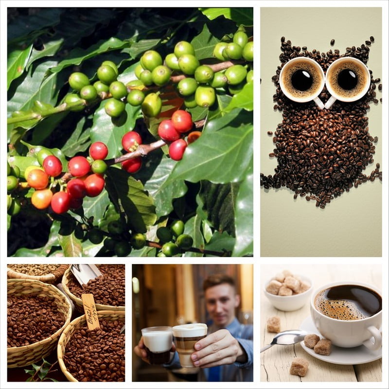 Кофейные зерна приносят здоровье, красоту и помогают в быту 16