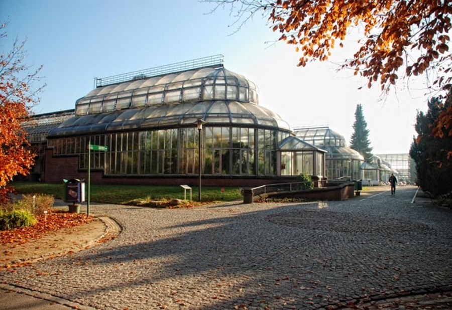 Ботанический сад в берлине