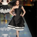christian-dior-spring-2009-haute-couture-9