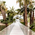 Luxuriant-vegetation