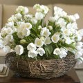 с доставкой от Flower-shop 13