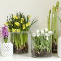 с доставкой от Flower-shop 2