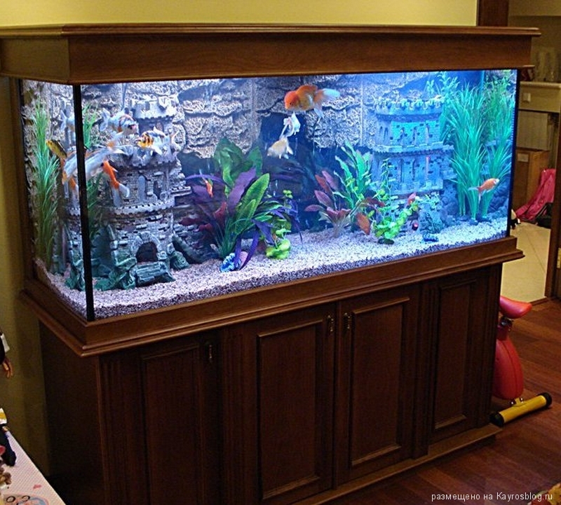 Для каких целей человек создает аквариум. Аквариум в интерьере. Красивейшие домашние аквариумы. Наполнение аквариума. Рыбки для аквариума Нальчик.