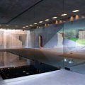 Adriana Varejao от компании Tacoa Arquitetos 1