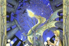 graficheskie-illyustratsii-iz-knigi-kel-tskij-lunny-j-zodiak-ot-margaret-walty-10