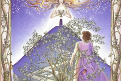 graficheskie-illyustratsii-iz-knigi-kel-tskij-lunny-j-zodiak-ot-margaret-walty-2