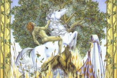 graficheskie-illyustratsii-iz-knigi-kel-tskij-lunny-j-zodiak-ot-margaret-walty-3