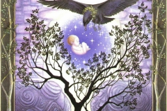 graficheskie-illyustratsii-iz-knigi-kel-tskij-lunny-j-zodiak-ot-margaret-walty-7