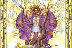 graficheskie-illyustratsii-iz-knigi-kel-tskij-lunny-j-zodiak-ot-margaret-walty-8