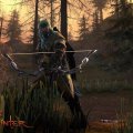 Neverwinter или чем заняться на летних каникулах 1