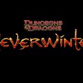 Neverwinter или чем заняться на летних каникулах 4