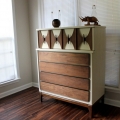 komod-nezamenimy-j-predmet-mebeli-v-kazhdom-dome-9
