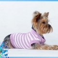 krasivaya-odezhda-dlya-sobak-razny-h-porod-5