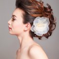 Bridal Make up and Hair Style in studio shot.