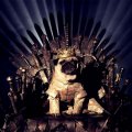 - косплей на тему сериала Игра престолов 1