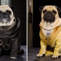 - косплей на тему сериала Игра престолов 2