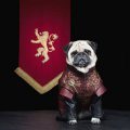 - косплей на тему сериала Игра престолов 5