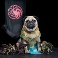 - косплей на тему сериала Игра престолов 6