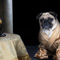 - косплей на тему сериала Игра престолов 7
