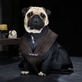 - косплей на тему сериала Игра престолов 9