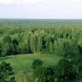 natsional-ny-j-park-belovezhskaya-pushha-dostoprimechatel-nosti-belarusi-6