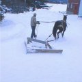 снегоуборочная техника для дома и города 10