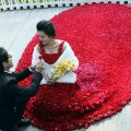 красивая свадьба в мире или миллион алых роз 4