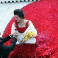 красивая свадьба в мире или миллион алых роз 9