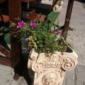 , как украшение нашего двора 12