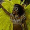 yarkij-karnaval-v-rio-2013-goda-62