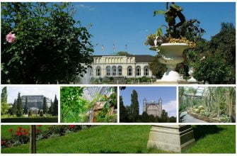 Ботанический сад Берлина