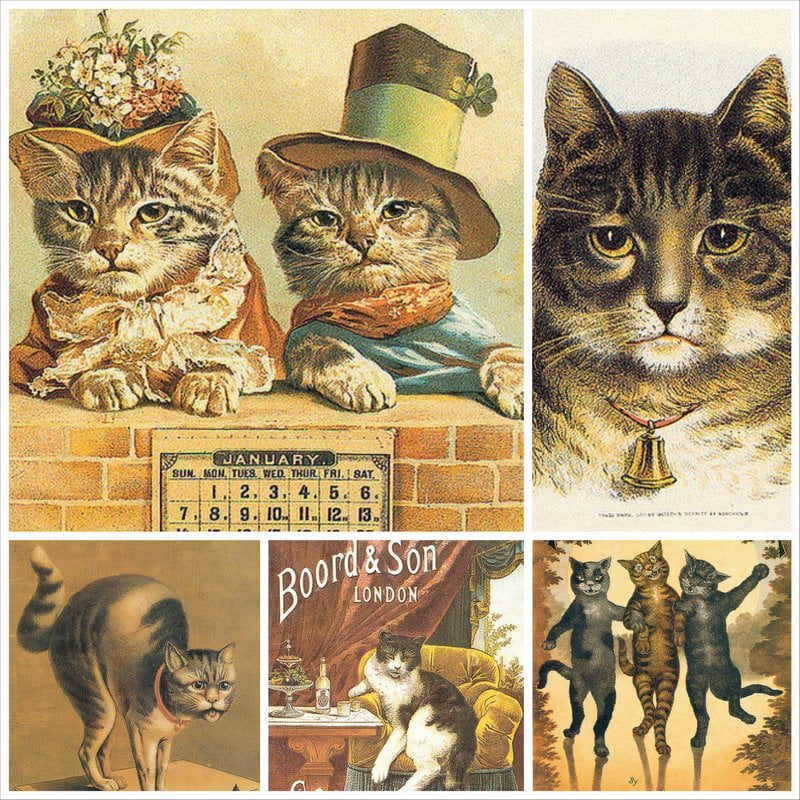 Винтажные открытки с котами