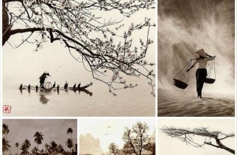 Красивые фото природы от Дон Хонг-Оай