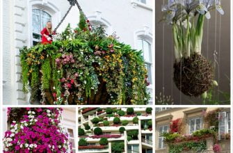 Создаем висячие сады на своем балконе или террасе