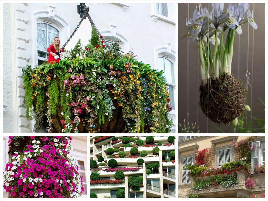 Создаем висячие сады на своем балконе или террасе