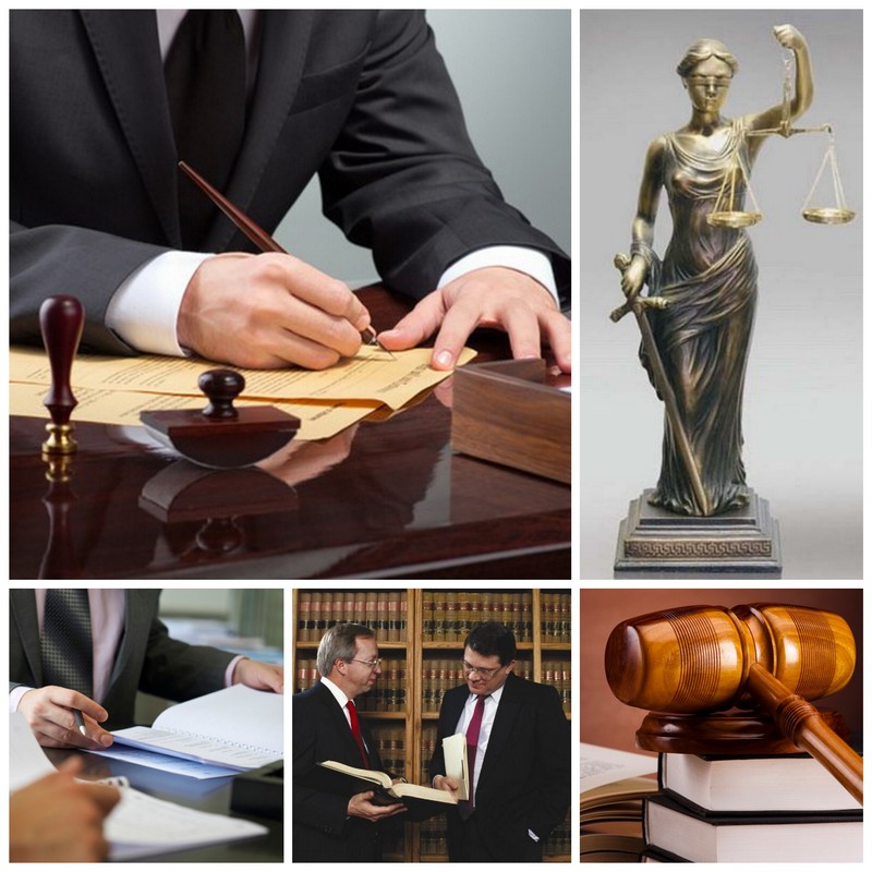 Специфика деятельности юриста