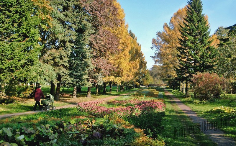 Ботанический сад, Витебск