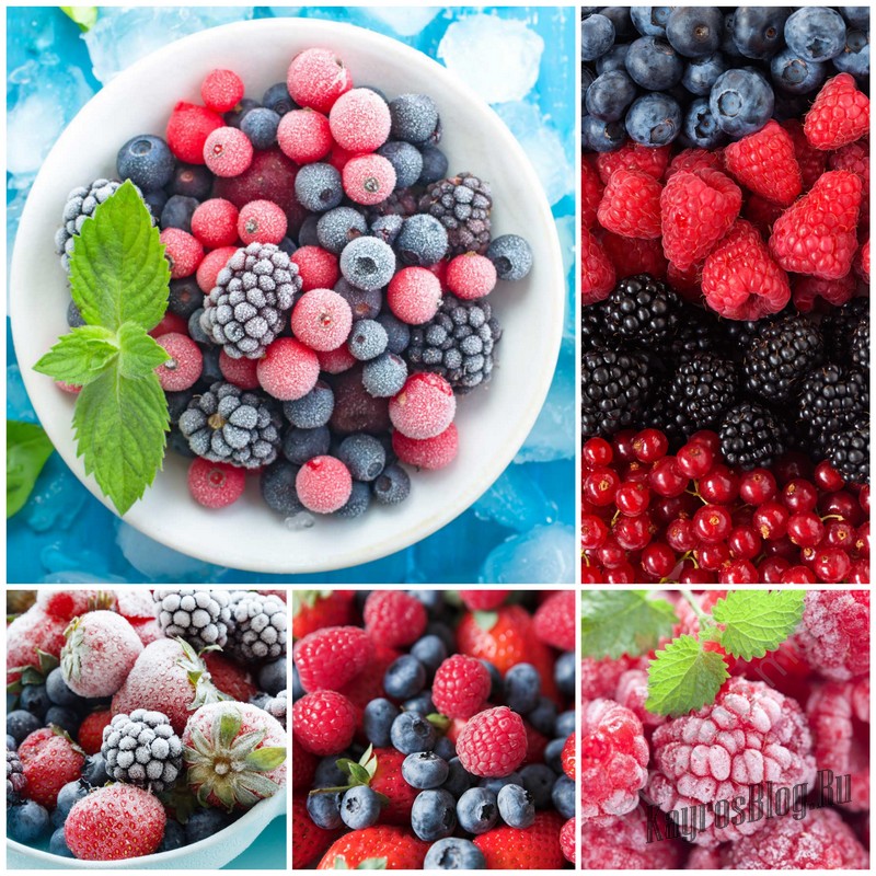 Хранение плодов и ягод в свежем и замороженном виде