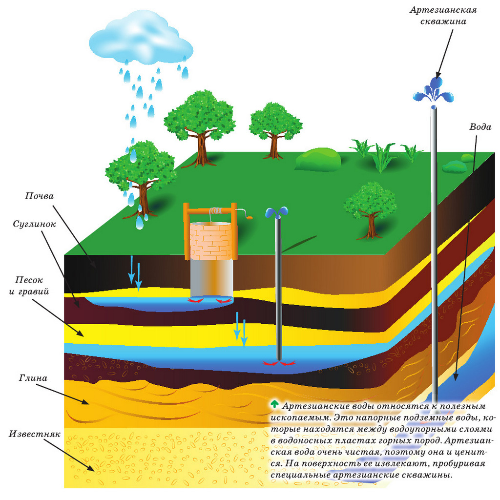Источник воды в почве. Артезианские скважины водоносный Горизонт. Грунтовые воды и водоносный Горизонт. Скважина колодец водоносные горизонты. Что такое водоносный Горизонт в скважине.