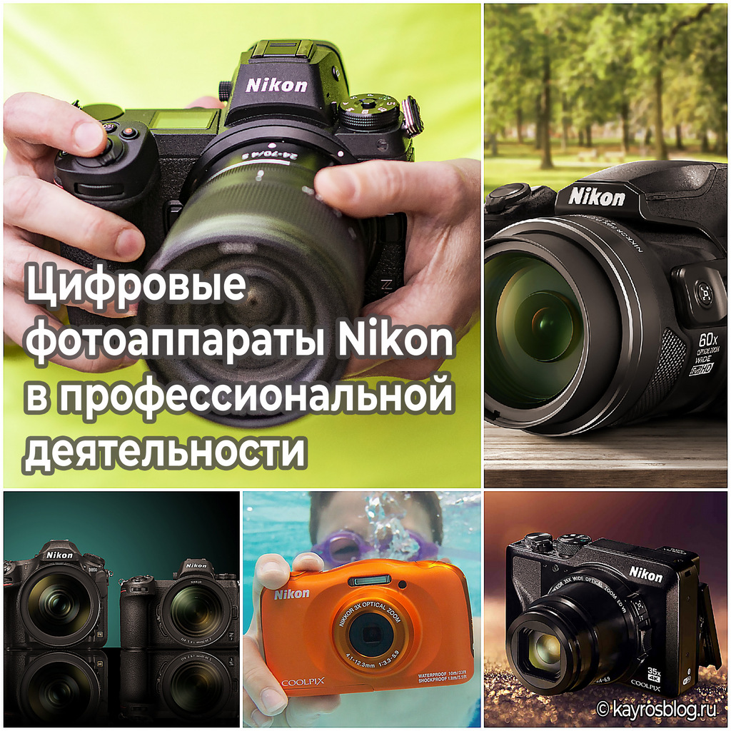 Цифровые фотоаппараты Nikon в профессиональной деятельности