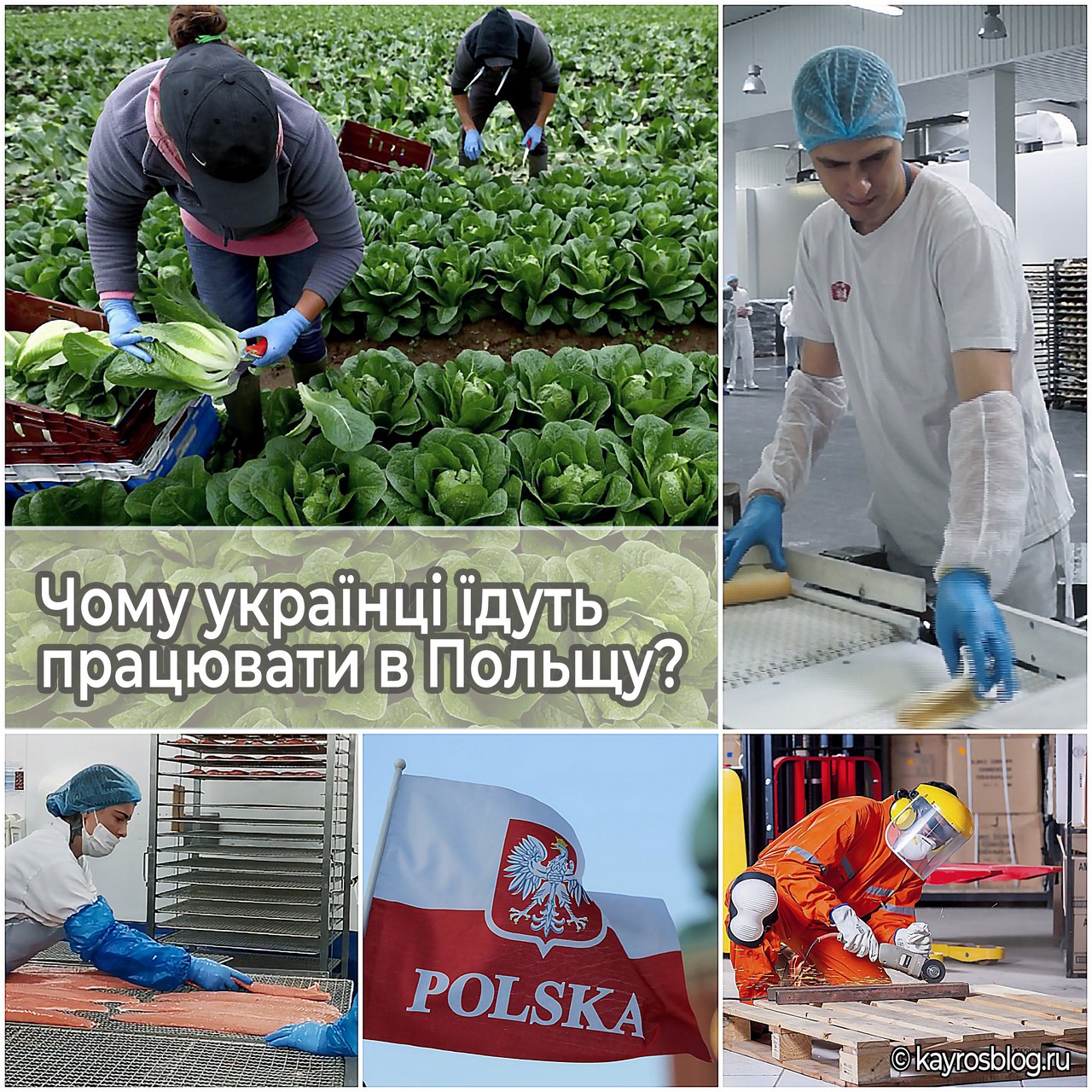 Чому українці їдуть працювати в Польщу