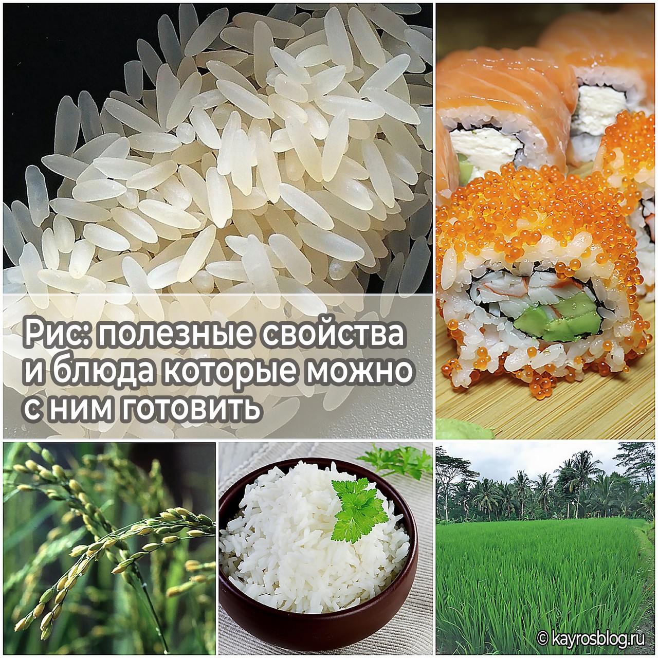 Рис полезные свойства и блюда которое можно с ним готовить
